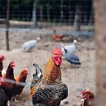 Farma Κατάλυμα σε φάρμα *