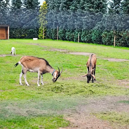 Farma Alloggio per agriturismo Serock