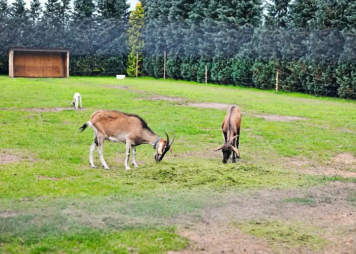 Farma Gospodarstwo agroturystyczne Serock